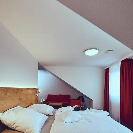 Burg 호텔 도나우에싱겐