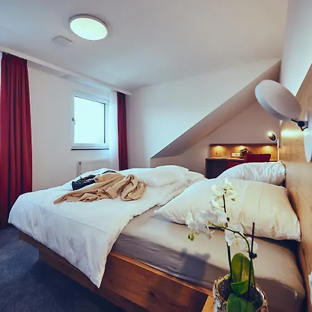 Hotel Burg Donaueschingen