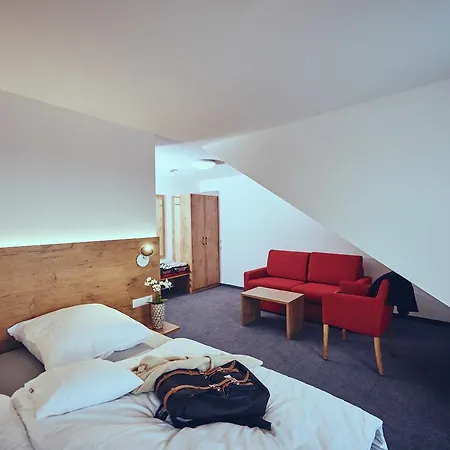 Burg 호텔 도나우에싱겐