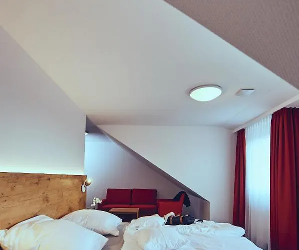 Burg 酒店 多瑙艾辛根