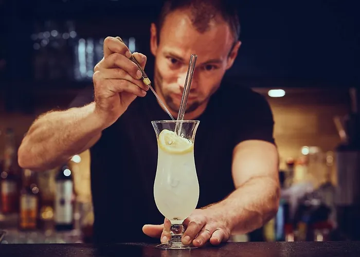 Burg 3* 多瑙艾辛根