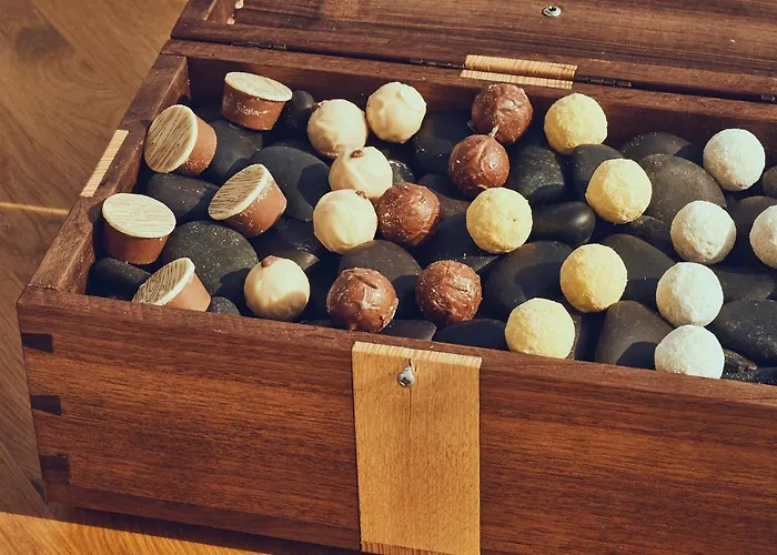 Otel Burg Donaueschingen