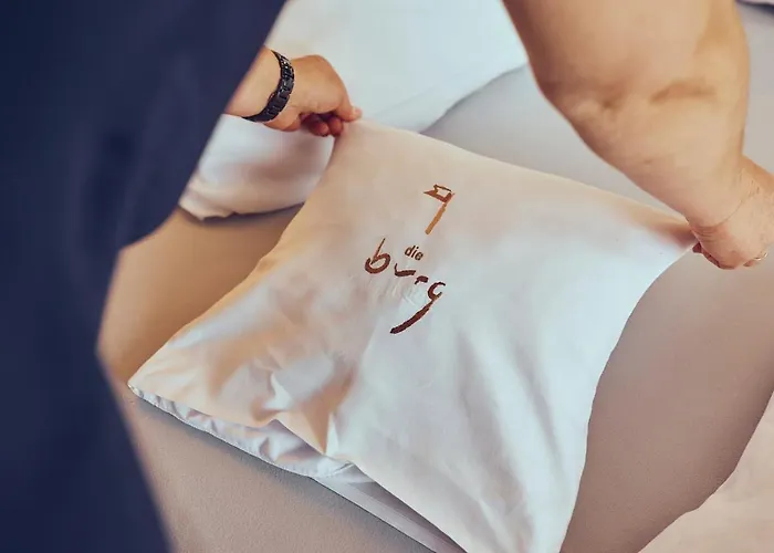 Otel Burg Donaueschingen