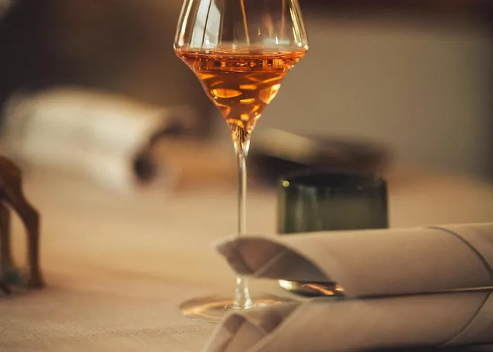 Otel Burg Donaueschingen